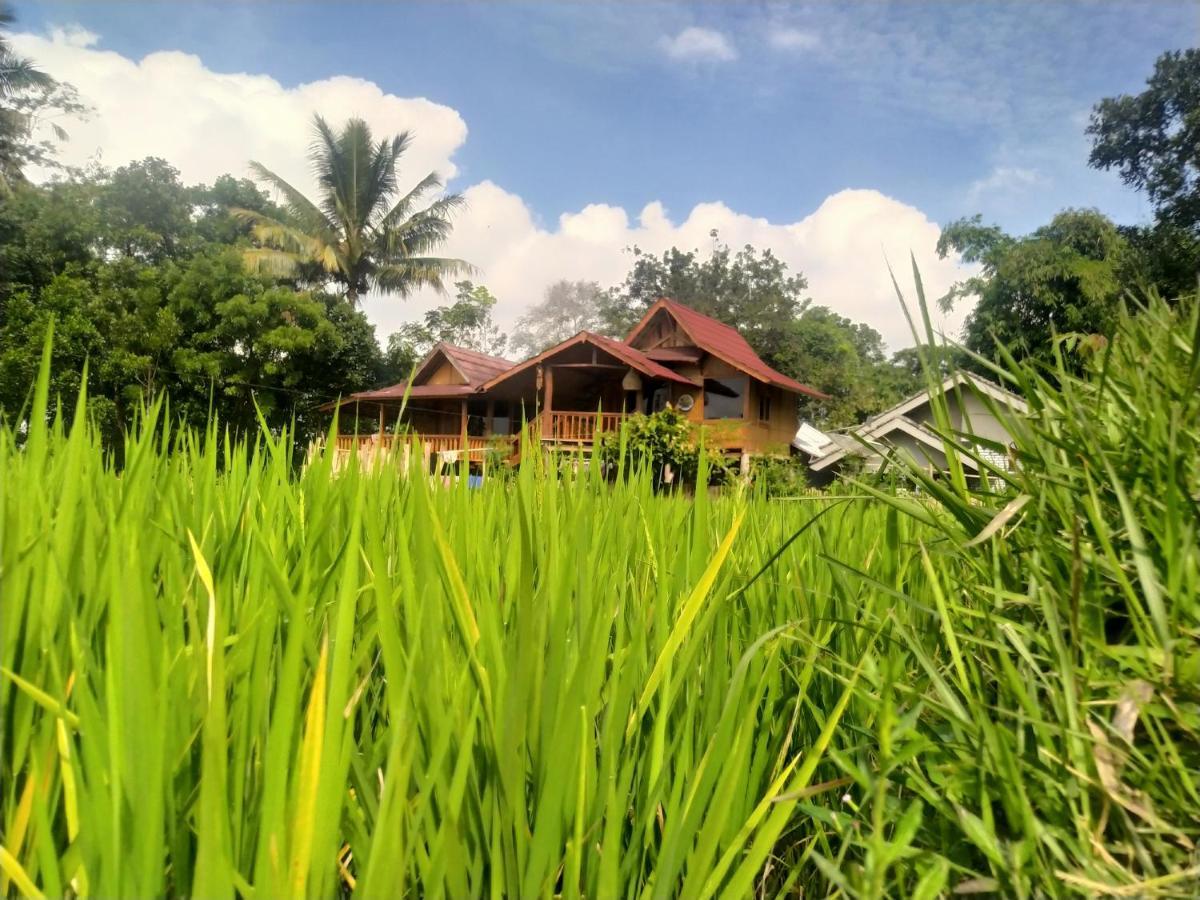 Jonny'S Places Tetebatu Exterior photo